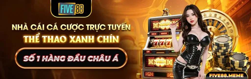 Tổng quan nền tảng cá cược DR88